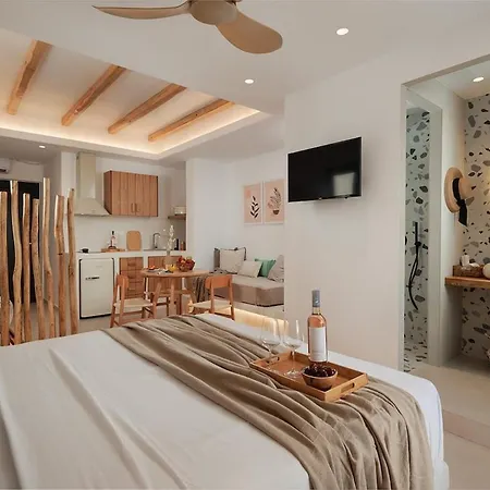 公寓 Due Venti Downtown Suites Naxos Junior